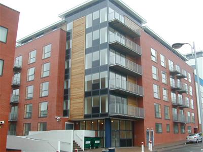 Picture 8